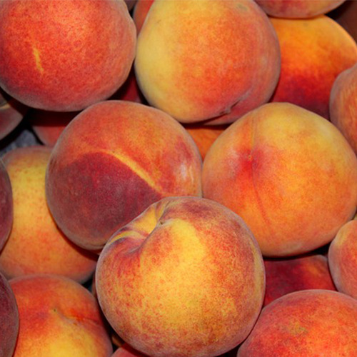 桃の品種は100種類以上！旬や食べごろ、おすすめの食べ方