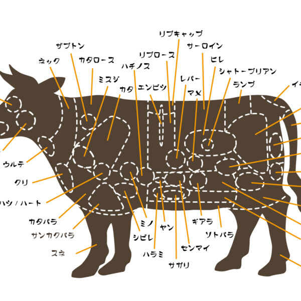 牛肉と部位について