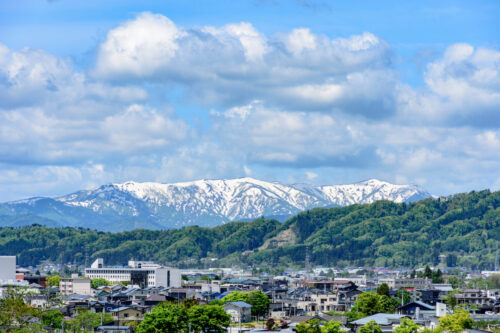 【さくらんぼの歴史】驚きの事実！山形が名産地となった理由